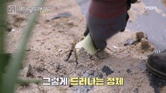 위암에서 벗어나게 해준 식재료의 정체는? MBN 260522 방송