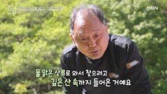 냇가에서 찾은 폐에 좋은 식재료의 정체는?! MBN 260529 방송