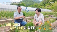 급성당뇨를 이겨내게 해준 식재료가 OOOO? MBN 260529 방송
