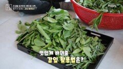 혈관 건강 돕는 감잎 활용법은? MBN 260612 방송