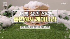 새봄 생존전략 동면에서 깨어나라 MBN 260227 방송