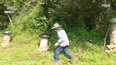 제2의 ‘말벌 아저씨’ 탄생? 말벌 킬러 자연인의 꿀 확인법 MBN 230920 방송