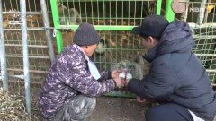 자연인의 애정이 느껴지는 염소 먹이주기 TIME MBN 260121 방송