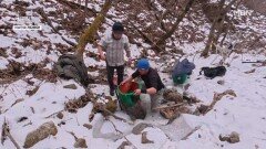 차가운 계곡, 집수 통 사수 작전 MBN 260302 방송