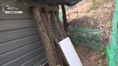 상추 씨 심고 버섯까지 키운다 MBN 260420 방송
