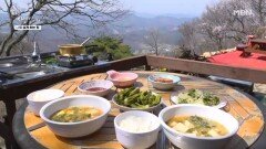 자연인이 해준 봄 한상, 두릅과 머위의 맛 MBN 260427 방송