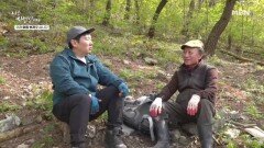 3년 동안 자연에서 멍만 때린 남자 MBN 260511 방송