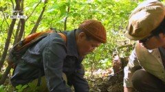 산삼 찾기 성공? 실패? 결과 공개 MBN 260601 방송