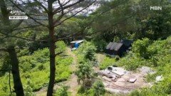 4전5기 자연인, 드디어 평생 살 곳을 찾다 MBN 260615 방송