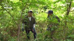 자연인의 깜짝 약초 퀴즈 MBN 260622 방송