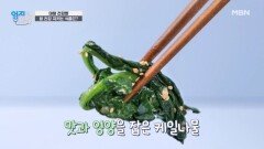 장 건강 지키는 식품, 케일 「케일나물무침」 레시피 공개! MBN 260120 방송