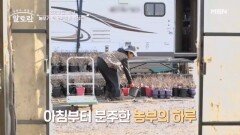 연기의 달인에서 농부가 된 황석정의 일상은? 1,000평 화훼 농원 공개! MBN 260118 방송