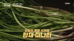 한재 미나리의 모든 것! 명품 미나리의 조건은? MBN 260329 방송