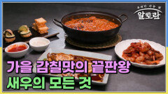 가을 감칠맛의 끝판왕 새우의 모든 것 MBN 241103 방송