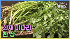 한재 미나리 한 상 MBN 260329 방송