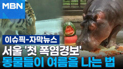 [자막뉴스] 서울 '첫 폭염 경보' 더위에 지친 동물들이 여름을 나는 법 | 이슈픽
