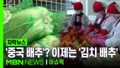 [자막뉴스] ＂배추 국제 명칭이 중국 배추라고?＂ 이제는 \