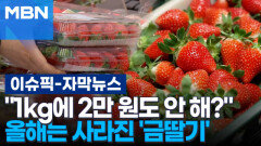 [자막뉴스] ＂1kg에 2만 원도 안 해?＂ 올해는 사라진 '금딸기' | 이슈픽
