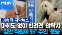 [자막뉴스] 마취도 없이 반려견 '안락사'…＂일반 직원이 왜＂ 주인 '분통' | 이슈픽