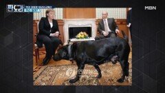 푸틴, 정상외교에서 메르켈 개로 위협했다? MBN 221003 방송