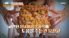 내독소 잡는 ＜간 유산균＞ MBN 241118 방송