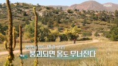 특집다큐H ＜생명을 잇는 연결 고리 붕괴되면 몸도 무너진다＞ MBN 251214 방송