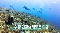 특집다큐H ＜천연에서 찾은 위장 건강의 새로운 혁명＞ MBN 260117 방송