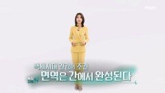 특집다큐H ＜백세시대 건강의 조건 면역은 간에서 완성된다＞ MBN 260221 방송