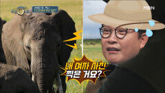 김성주, 코끼리와의 삼각관계에 된통 당한 사연?