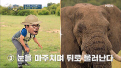 김성주가 화난 코끼리에게서 도망친 방법은?