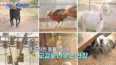 오미연의 예쁜이들이 있는 곳?! 반려동물이 뇌 건강에 미치는 영향! MBN 241205 방송