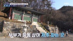 배우 임혁 부부가 찾은 곳?! 간, 혈관 건강을 책임진다는 그곳의 정체는? MBN 250111 방송