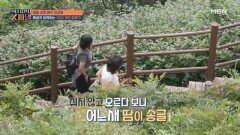 관절염 4기 맞아?? 엄두도 못 냈던 전성애 자매의 300 계단 정복기 MBN 251005 방송