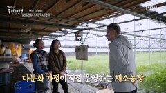 사천에서 만난 아열대 채소 농장! 다문화 가정의 경제적인 자립을 돕는다는데? MBN 241212 방송