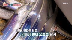 은빛 물결! 가을 갈치 낚시 현장 MBN 251105 방송