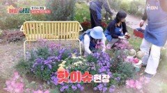 ＜핫 이슈 현장＞ 행복의 씨앗을 심는 손바닥 정원 조성 MBN 251112 방송