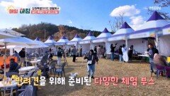 다양한 반려견 체험부스와 어질리티 대회까지! 영월에서 열린 펫 페스티벌 MBN 251113 방송