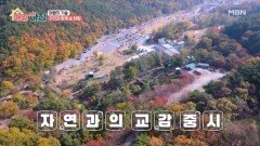 자연과 함께하는 숲 체험, 숲을 달리는 모노레일! MBN 251126 방송