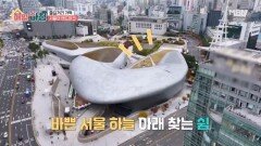 즐길거리 가득한 서울의 랜드마크 ’동대문디자인플라자‘ MBN 251127 방송