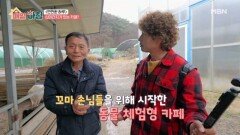 십이간지가 있는 카페?! 카페 속 무료 동물원 MBN 251215 방송