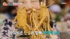 ＜뜨고있슈＞ 연말연시 선물로 딱! 겨울철 건강 지킴이 ‘인삼’ MBN 251218 방송