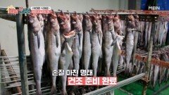 부드러움과 쫄깃함 사이 묘한 매력을 가진 속초 별미, 코다리 MBN 251229 방송