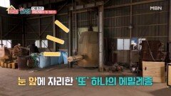 에밀레종이 ’또‘ 있다?! 매력 넘치는 종의 세계 MBN 260312 방송
