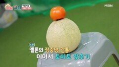 새총 명사수가 있다?! 백발백중 새총의 매력! MBN 260416 방송