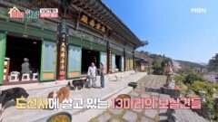 도선사에 살고 있는 13마리 보살견들의 행복한 봄날! MBN 260416 방송