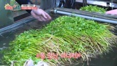지금이 제철! 봄철 활력 채우는 대표 나물 미나리 MBN 260420 방송