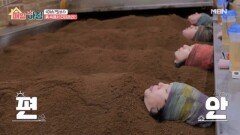 쌀겨 발효 찜질과 맞춤 발 분석 서비스 MBN 260420 방송