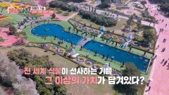 식물로 치유하고 태안의 맛까지 즐기는 여행! MBN 260429 방송