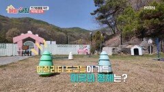 미스코리아 출신 이지안과 반려견들의 일상 MBN 260430 방송