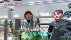 도심 속 스마트 농장 체험과 800원 수제 빵집 MBN 260504 방송
